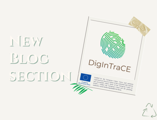 The DigInTraCE blog section has been launched